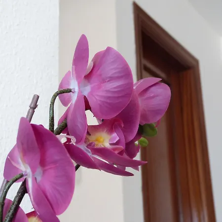 Διαμέρισμα Apartamento Los Castanos